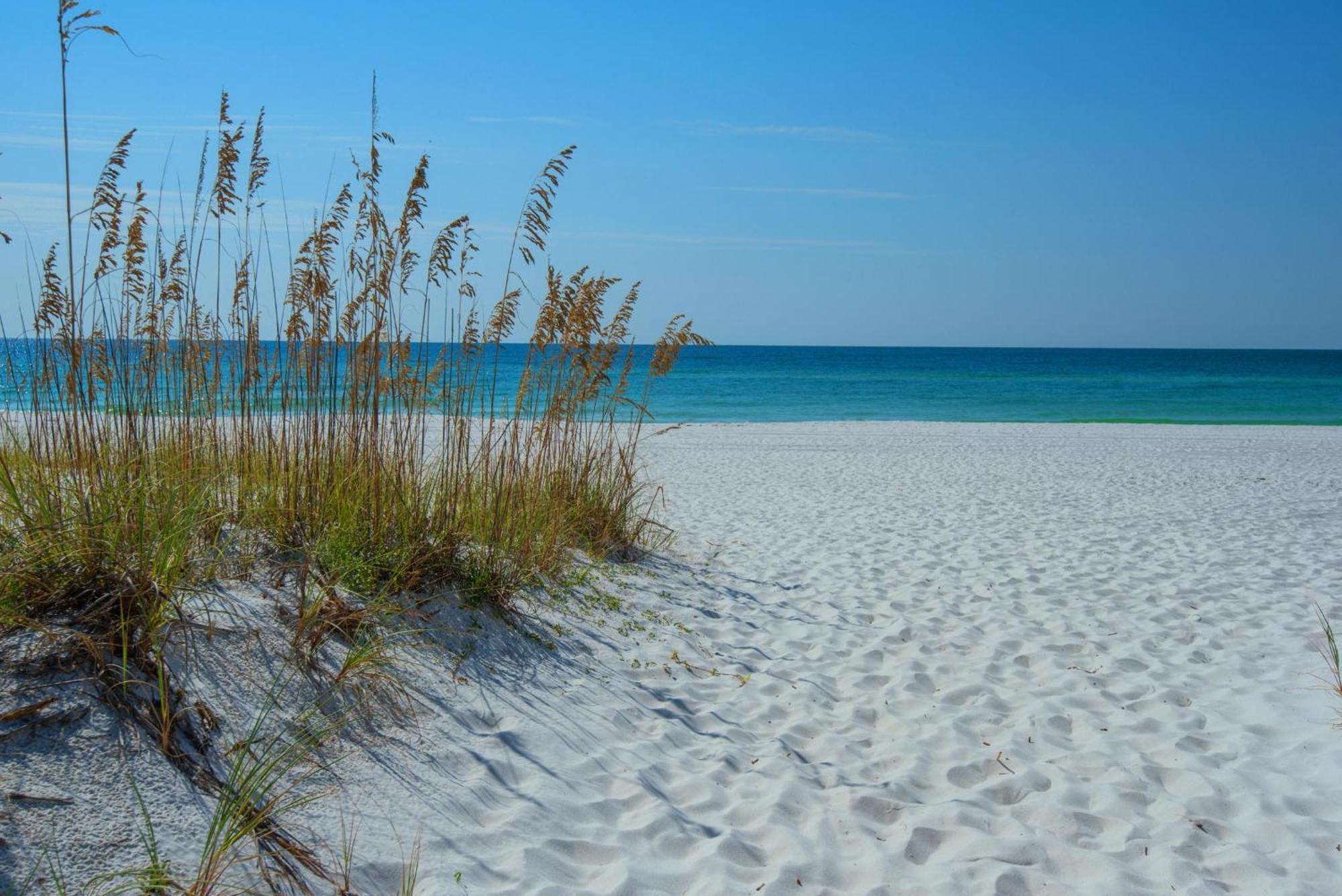 Tristan Towers Unit 1D Villa Pensacola Beach Exteriör bild